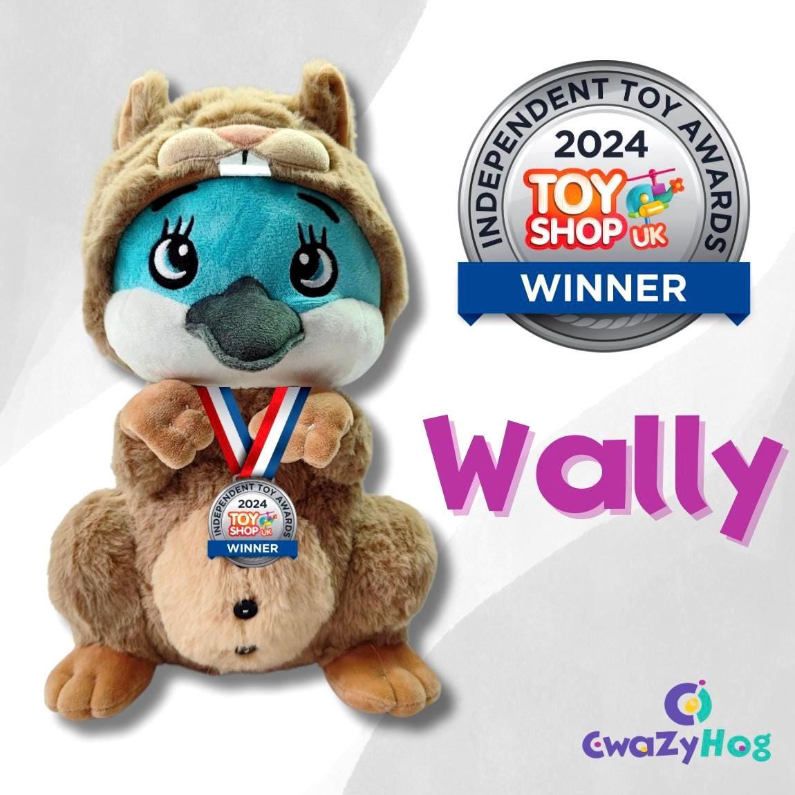 Plush toy with a medal and '2024 Toy Shop UK Independent Toy Awards Winner' badge, featuring the brand 'CwaZyHog'.