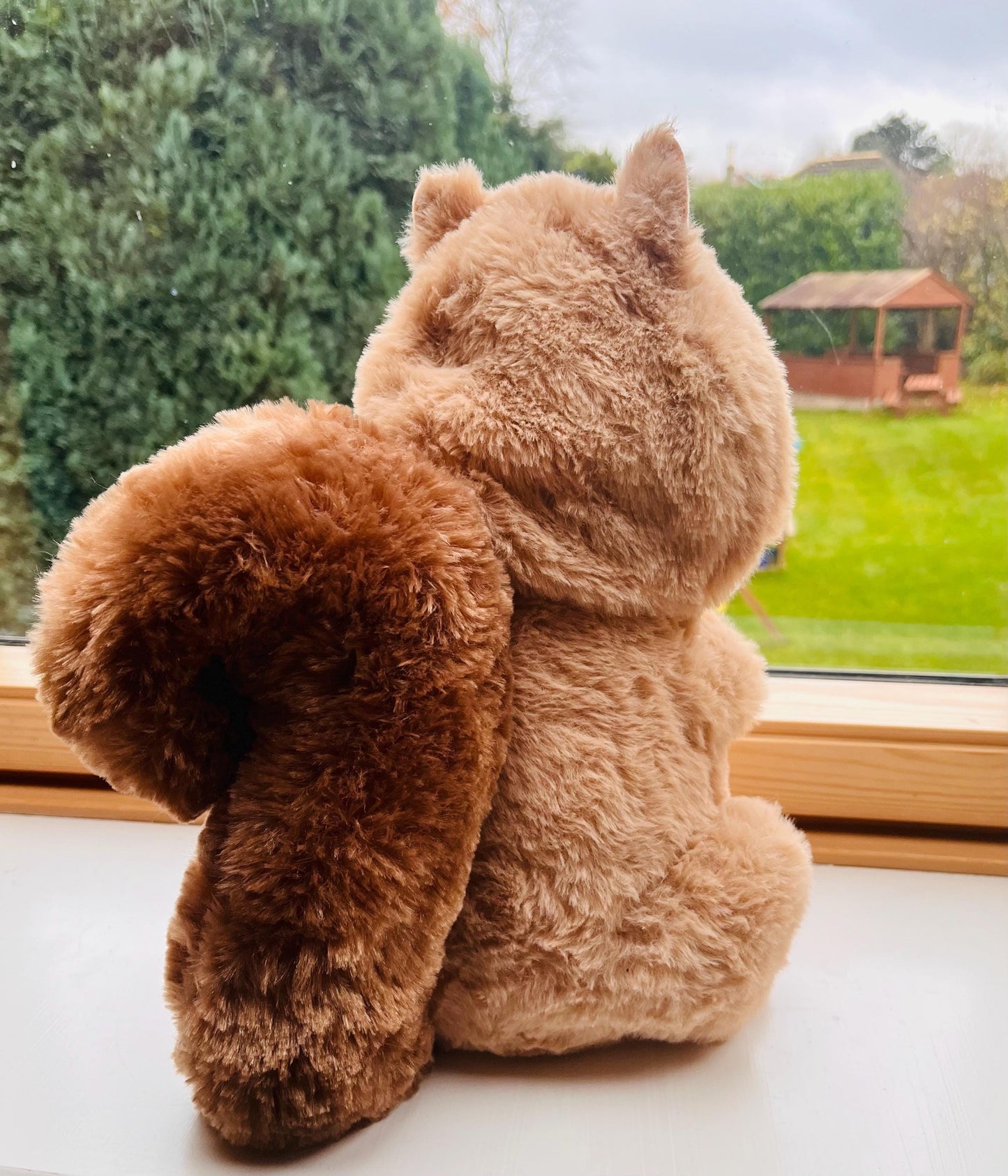 CwaZyHog's Wally the Disguise Master Award-winning plush toy on a windowsill with a garden view outside.